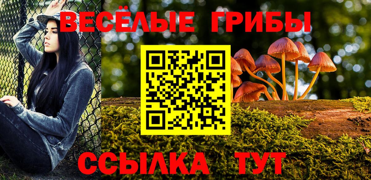 Галлюциногенные грибы мицелий Кохма