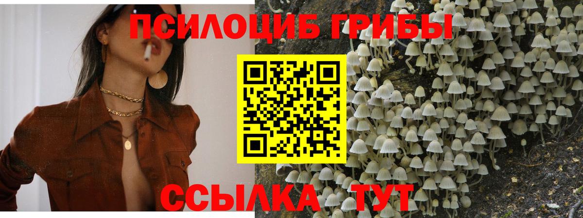 Кохма  Галлюциногенные грибы прущие грибы  Вход с VPN 